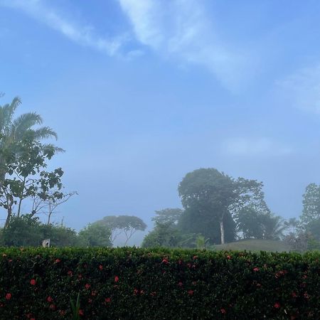 Valles Of Osa Palmar Sur Bagian luar foto