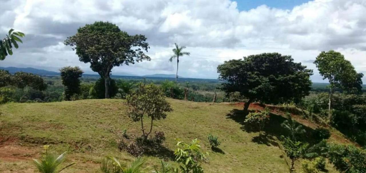 Valles Of Osa Palmar Sur Bagian luar foto