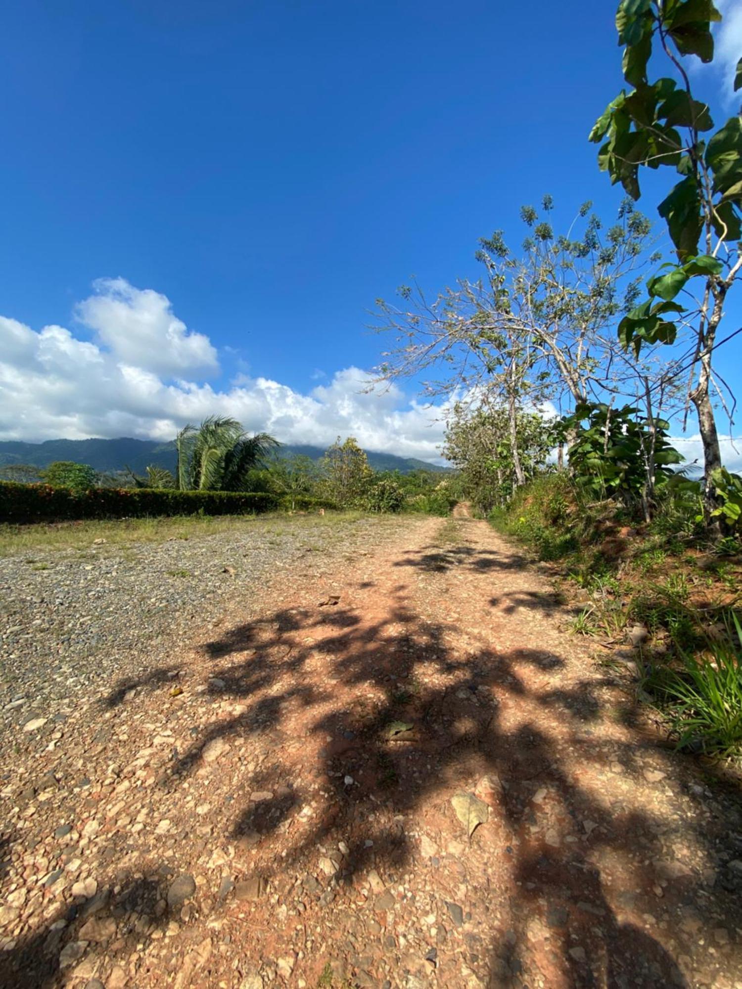 Valles Of Osa Palmar Sur Bagian luar foto