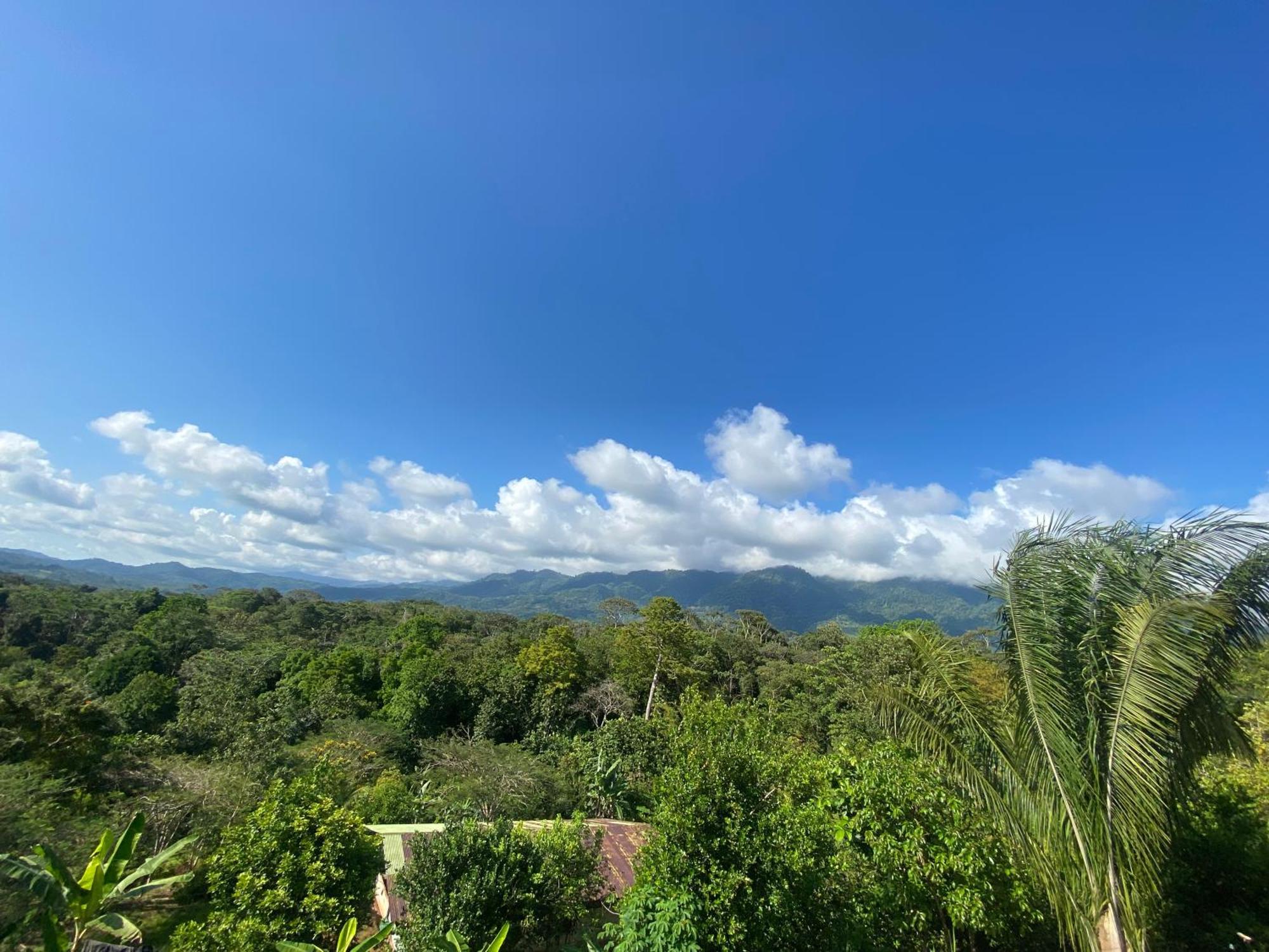 Valles Of Osa Palmar Sur Bagian luar foto